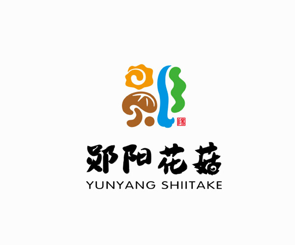 鄖陽花菇——武當山下好花菇